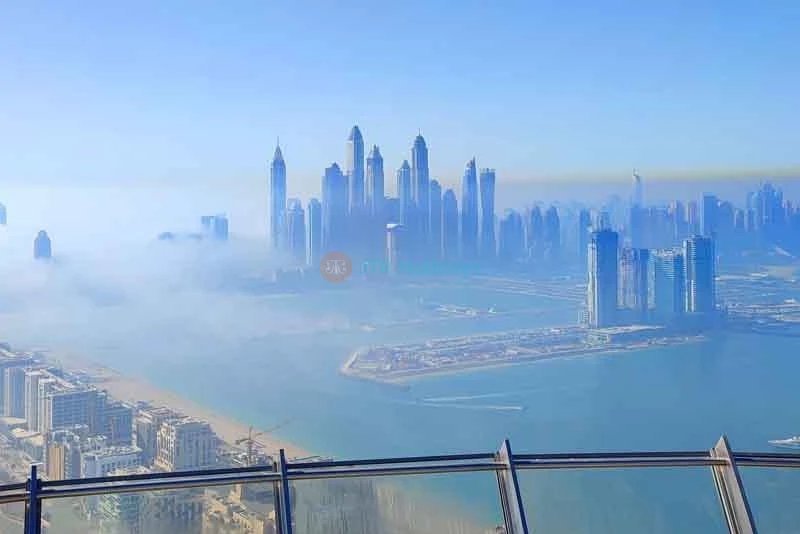 Unlock Excitement: IMG General Admission + Free View at the Palm Ticket Combo Deal - Image 8 of 8