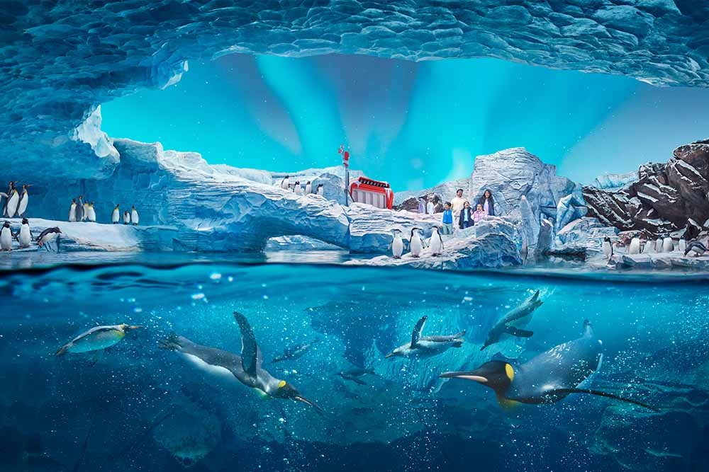 Abu Dhabi Combo Deal: SeaWorld and Qasr Al Watan - Best Offer - JTR Holidays - Image 3 of 5