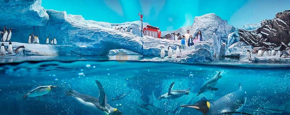 Abu Dhabi Combo Deal: SeaWorld and Qasr Al Watan - Best Offer - JTR Holidays - 画像 3 の 5