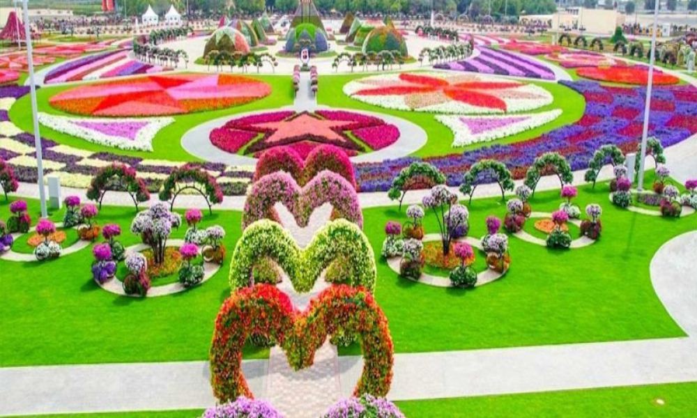 IMG General Admission + Free Miracle Garden Combo: Thrills & Blooms Await! - Bild 3 von 5