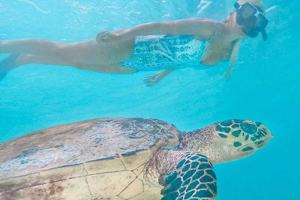 أيادا المالديف باقة عطلة لمدة 03 ليالٍ - باقة جولة في المالديف - جي تي آر هوليديز - Image 8 of 8