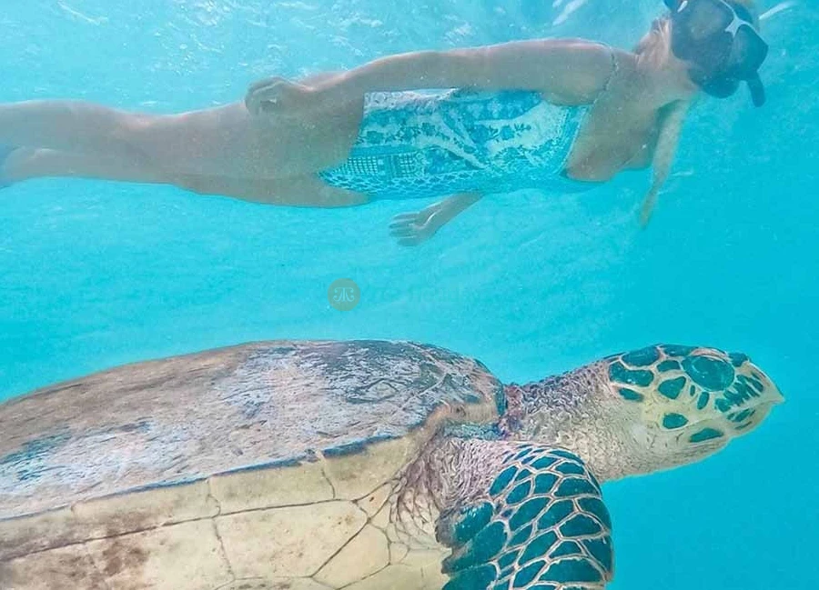 Maldives Holiday Package Offers And Deals - 3 Nights 4 Days - Image 8 of 8