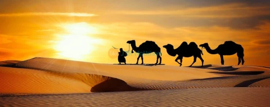 Dubai Honeymoon Package 3 Nights 4 Days | Dubai Honeymoon Experience - JTR Holidays