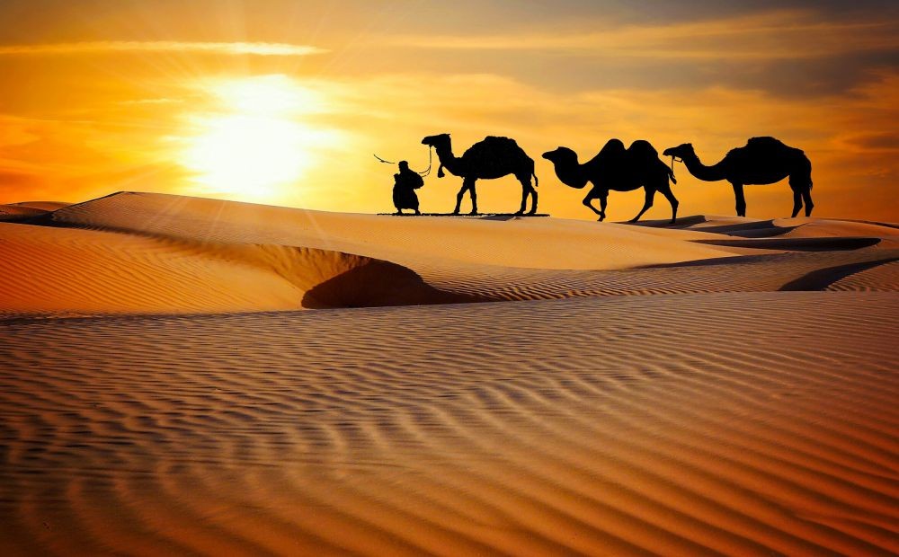 Dubai Flitterwochen Paket 3 Nächte 4 Tage | Dubai Flitterwochen Erlebnis - JTR Holidays - Bild 4 von 5