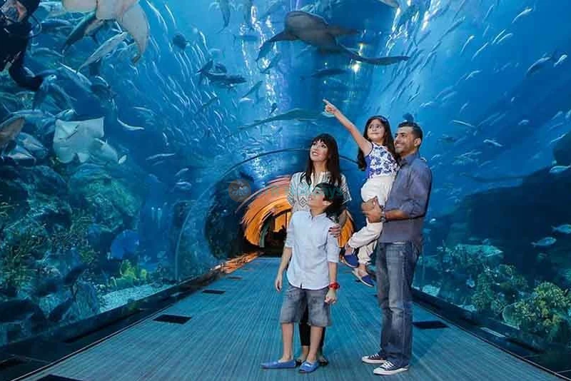 Dubai Luxury Holidays Package Dubai Hotels - 6 Nights 7 Days