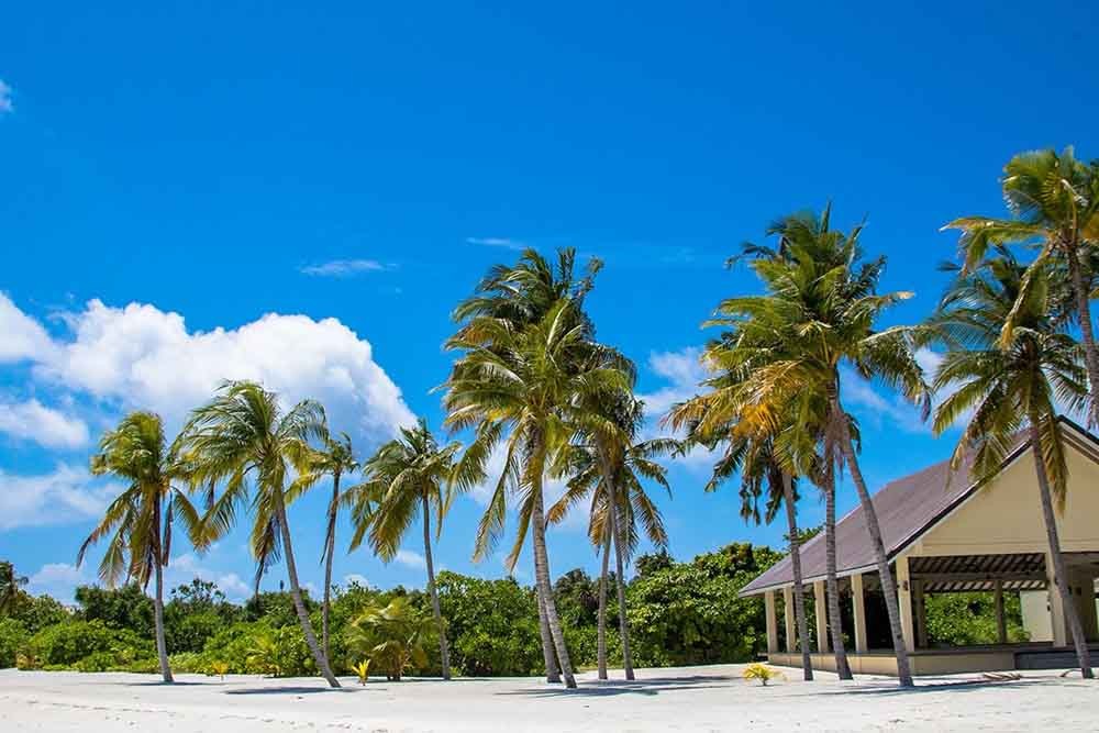 Hondaafushi Insel Resort 03 Nächte Urlaubspaket - Malediven Angebot - JTR Holidays - Bild 3 von 5