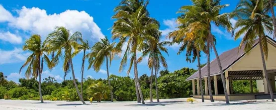 Maldives Holiday Package Deals - 3 Nights 4 Days