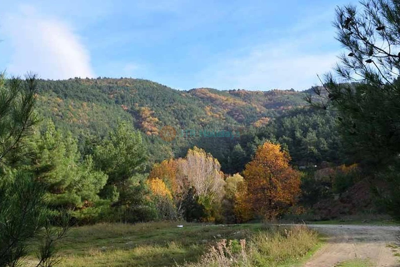 Istanbul Bursa City Break Holiday Package - 4 nights 5 days - Image 8 of 9