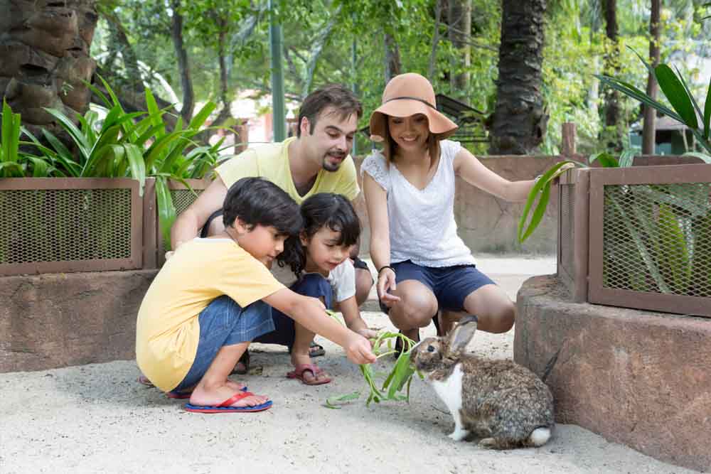 Sunway Lagoon Theme Park - Image 9 of 11