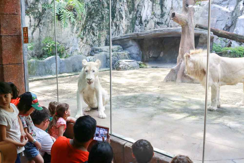Sunway Lagoon Theme Park - Image 10 of 11