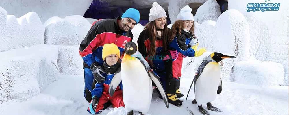 Ski Dubai Tickets | Mall of Emirates Snow Park | Promo SK210 - JTR Holidays - Image 3 of 5