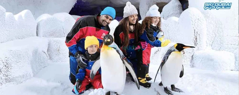 Ski Dubai - Image 3 of 5