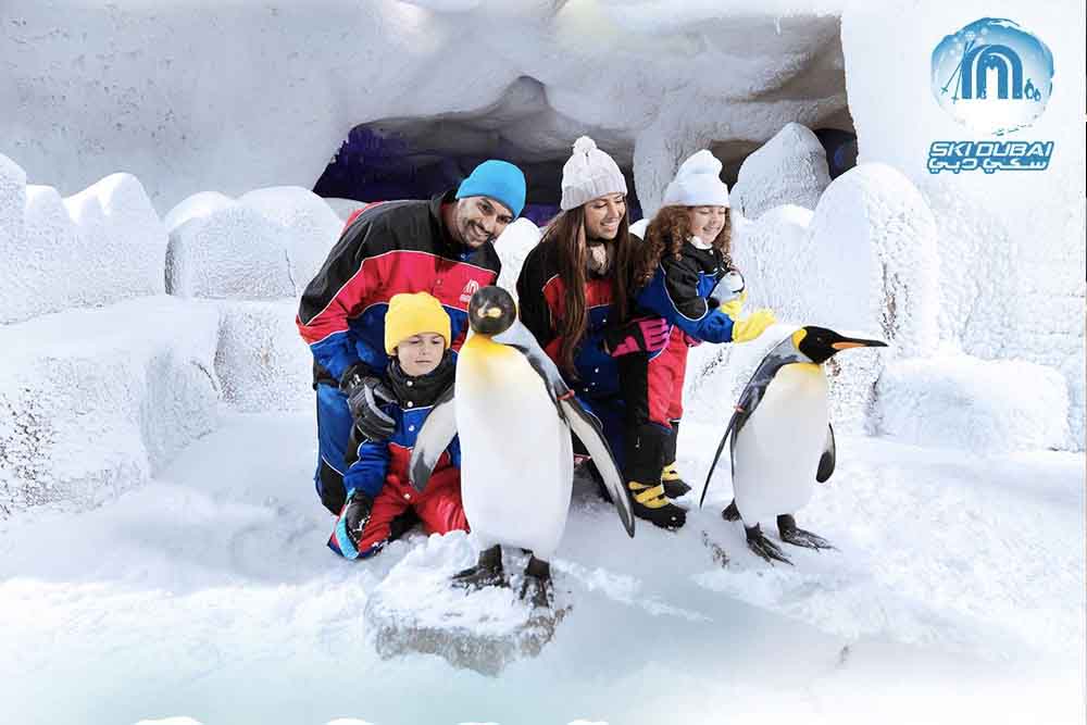 Ski Dubaï - Ski Dubai Snow Park, The Snow Park is located in Mall of the Emirates. It is the Middle East’s first indoor ski resort, offers, Ski Dubai Snow Classic Tickets, Snow Daycation Pass, Ski Dubai Penguins Counter, Ski Dubai Snow Plus, Ski Dubai Slope session full day and 2 hours. A perfect place for fun with your friends and family in the world's largest indoor snow park houses an amazing 3,000 square meters of snow. Ski Dubaï - Image 3 sur 5