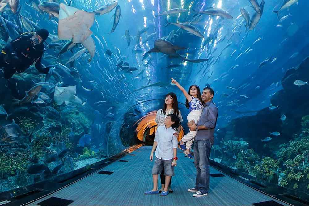 Burj Khalifa + Aquarium et Zoo Sous-Marin - Offre combinée Burj Khalifa Au Sommet, offre spéciale à durée limitée. Profitez dès maintenant de la meilleure offre promotionnelle pour les billets du Burj Khalifa et de l'Aquarium et Zoo sous-marin. Confirmation instantanée, assistance 24/7, chat en direct. Burj Khalifa + Aquarium et Zoo Sous-Marin - Image 4 sur 5