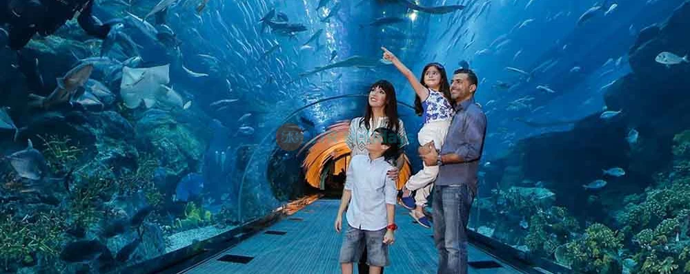 Burj Khalifa and Aquarium Combo Tickets  - Limited Time Discounted Offer - JTR Holidays - Image 4 of 5