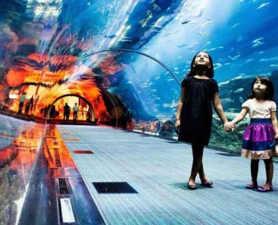 Burj Khalifa + Aquarium und Unterwasserzoo - Burj Khalifa oben Kombi-Angebot, spezielles zeitlich begrenztes Angebot. Jetzt das beste Rabattangebot für Burj Khalifa und Aquarium und Unterwasserzoo Tickets sichern. Sofortige Bestätigung, 24/7 Support, Live-Chat. Burj Khalifa + Aquarium und Unterwasserzoo - Bild 5 von 5