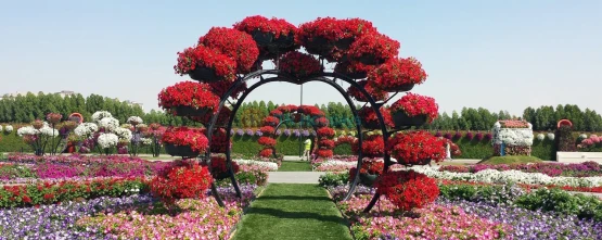 Miracle Garden Dubai - Timings , Tickets Price Entry Fee | JTR Holidays