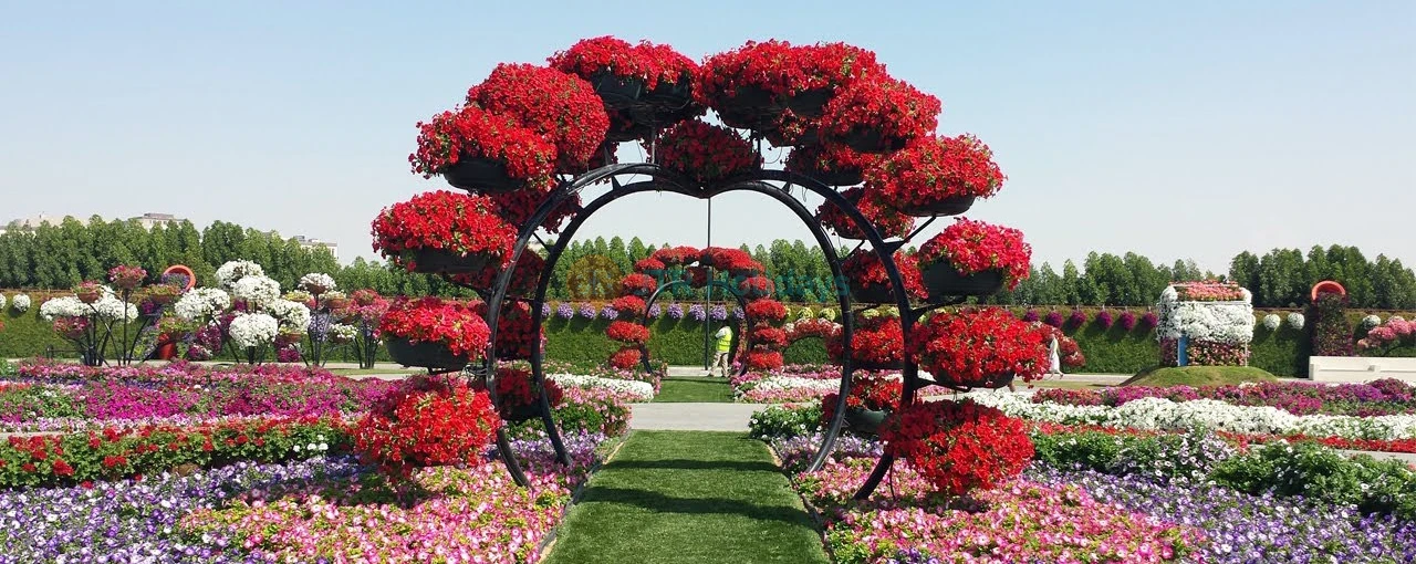 Miracle Garden Dubai - Timings , Tickets Price Entry Fee | JTR Holidays - Image 4 of 5