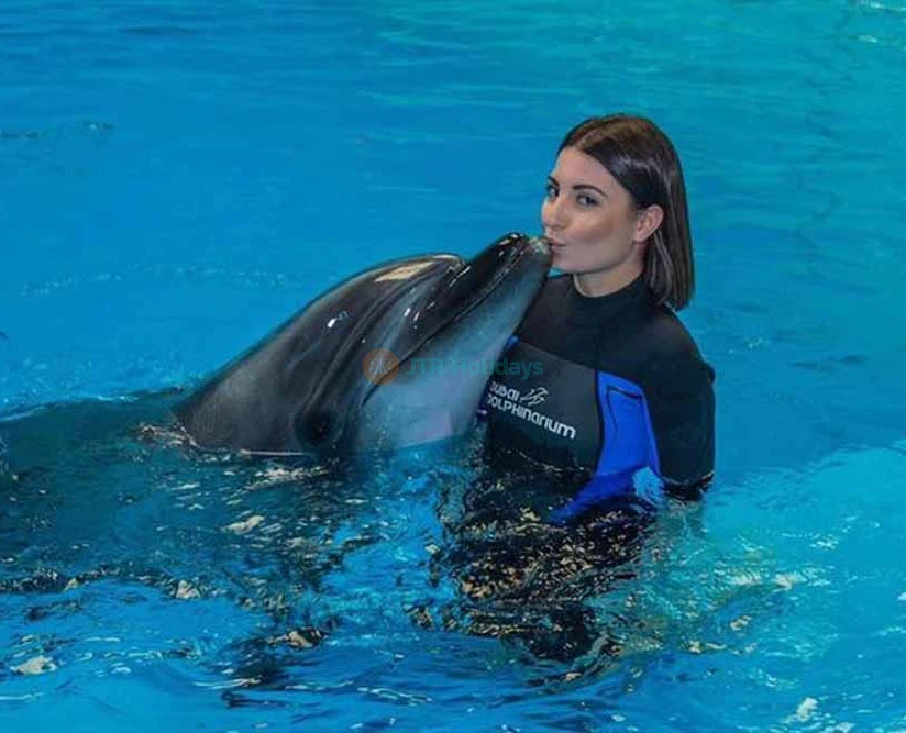 Dubai Dolphinarium - Image 2 of 5