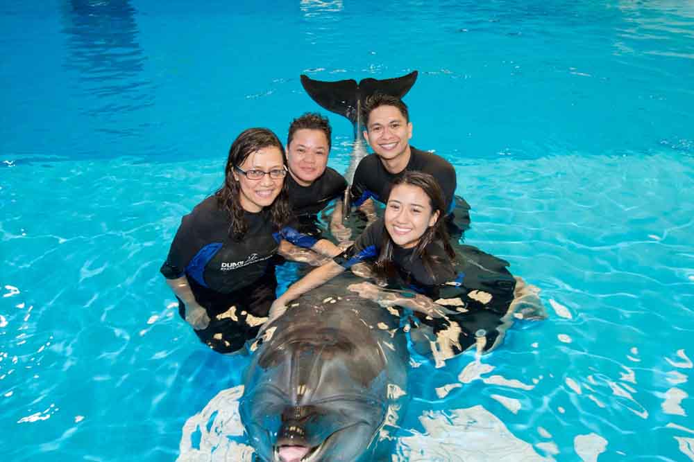 Dubai Dolphinarium Ticket - Image 3 of 5