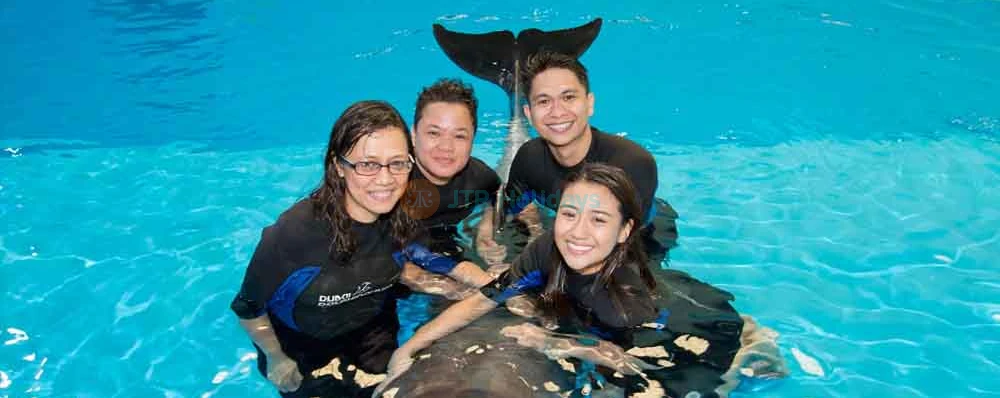 Dubai Dolphinarium - Image 3 of 5