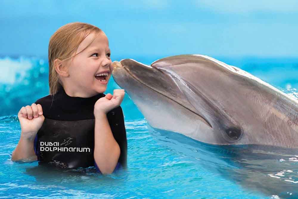 Dubai Dolphinarium Ticket - Dubai Dolphinarium is the first fully air-conditioned indoor Dolphinarium in the Middle East. It providing habitat to dolphins and seals, allowing the public to watch and interact with them through live shows and photo sessions. Dubai Dolphinarium is home to a number of most unique indoor tourist attractions in UAE & is now one of the most loved Dubai tourist attractions. Dubai Dolphinarium Ticket - Image 5 of 5