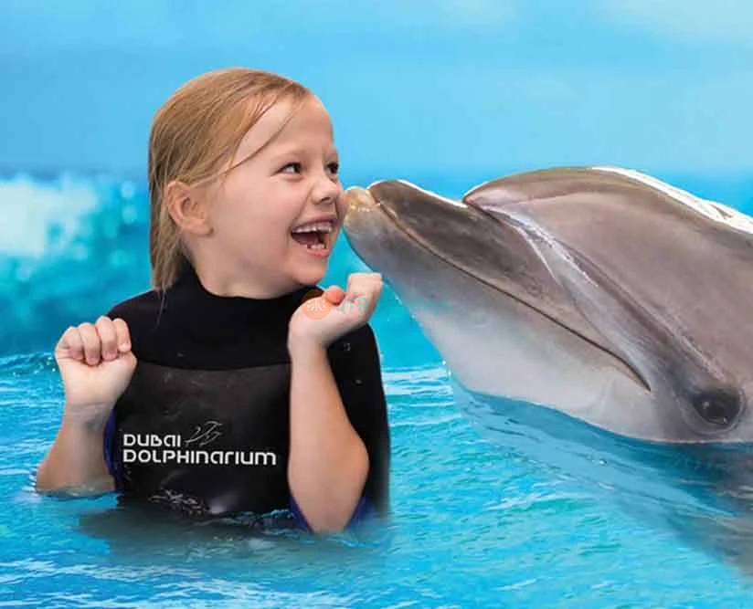 Dubai Dolphinarium - Image 5 of 5