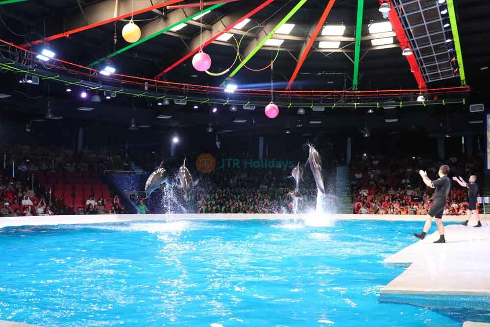 Dubai Dolphinarium - Image 7 of 8