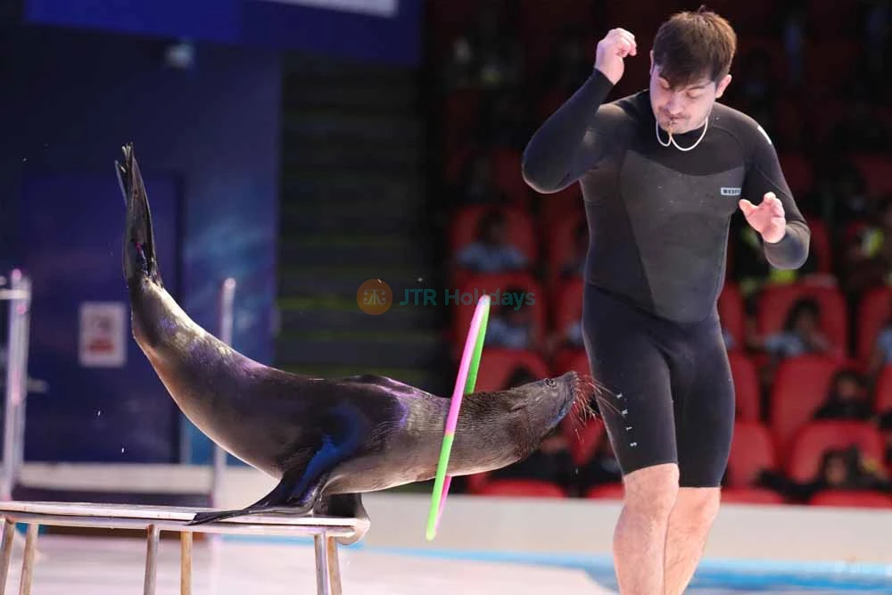 Dubai Dolphinarium - Image 8 of 8