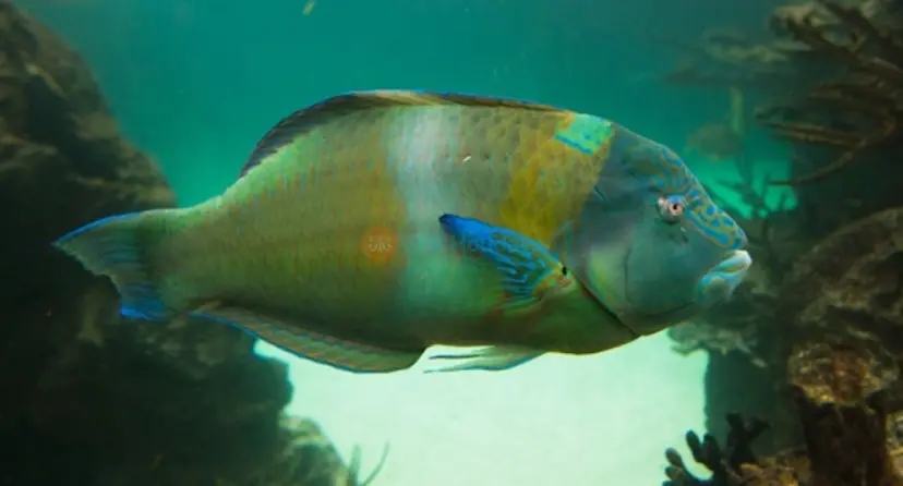 纽约水族馆 - Image 1 of 5
