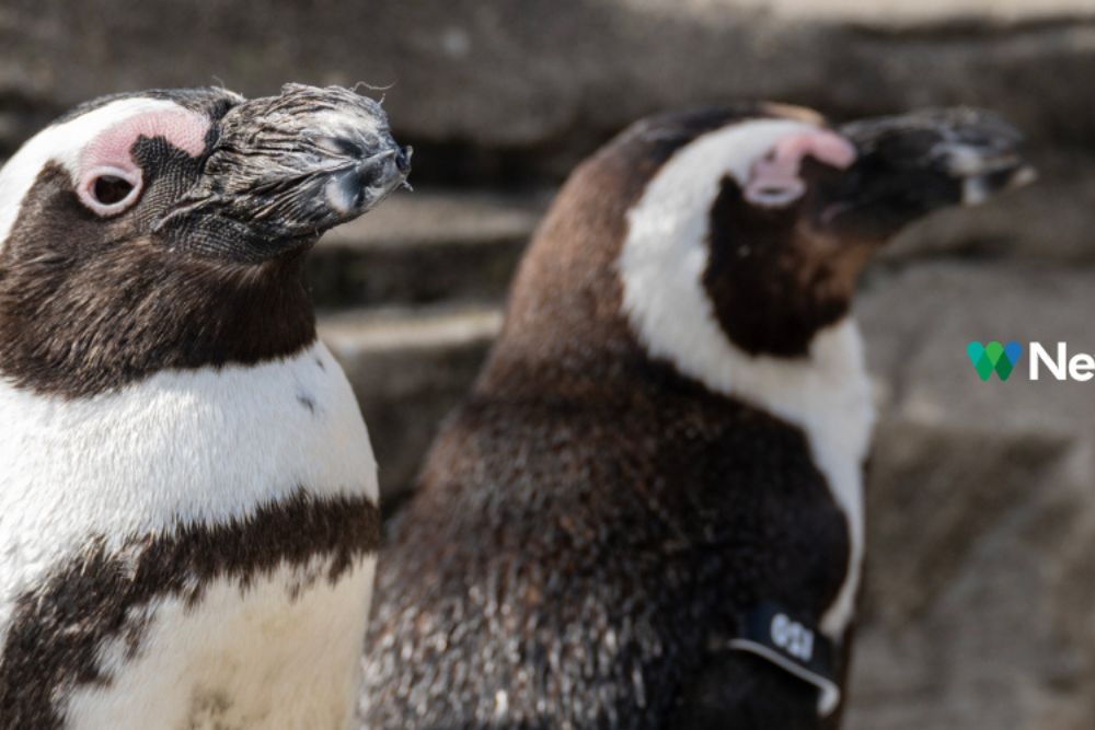 New Yorker Aquarium - Bild 2 von 5