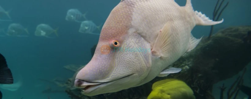 纽约水族馆 - 图片 3 的 5