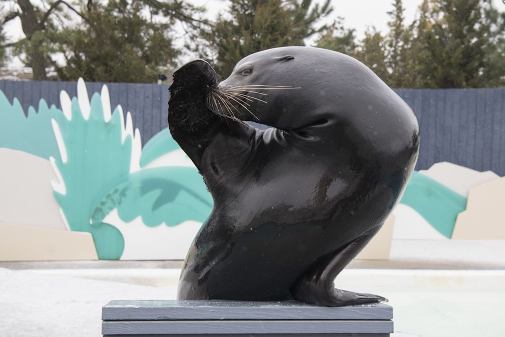 New Yorker Aquarium - Image 5 of 5