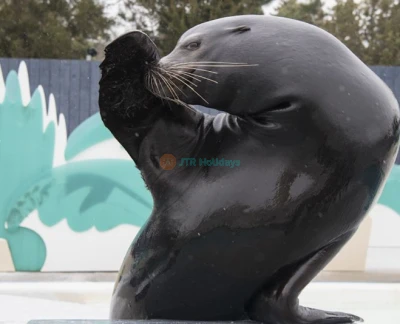 纽约水族馆 - 图片 5 的 5