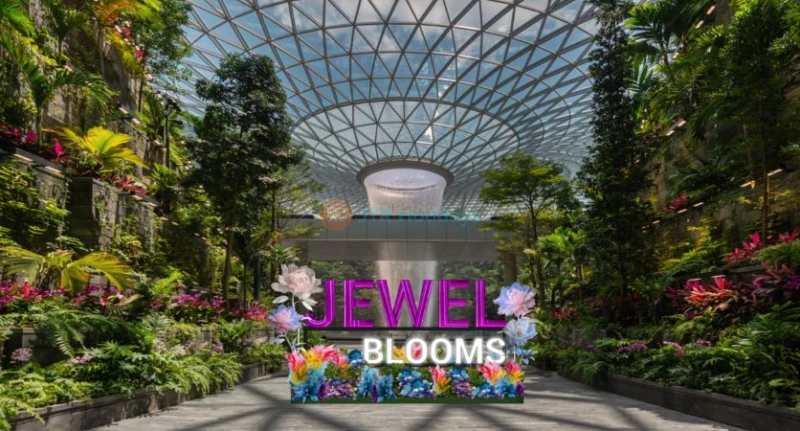 Attrazioni Jewel Changi Airport