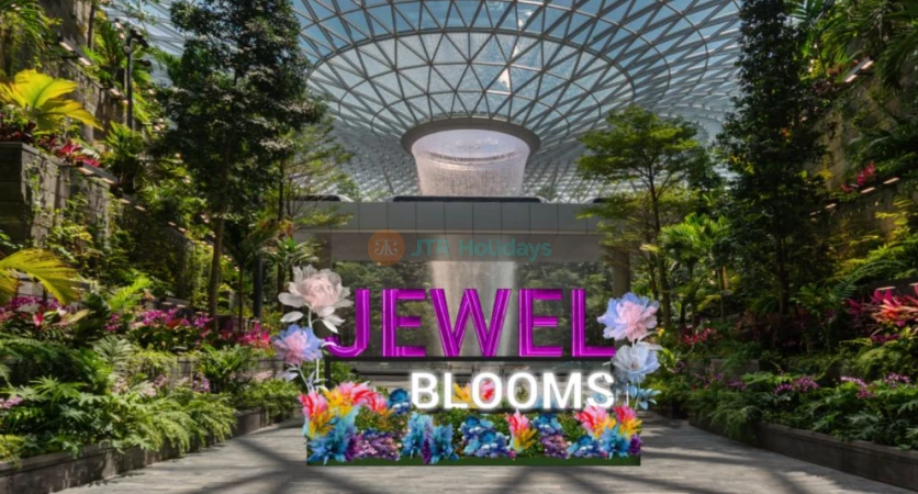 Discover Jewel Changi Airport Attractions | Tailored Tours with JTR Holidays