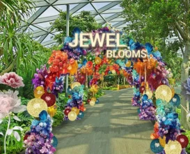 Discover Jewel Changi Airport Attractions | Tailored Tours with JTR Holidays