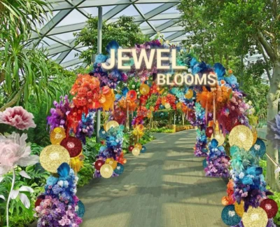 Jewel Changi Airport Attractions - Image 2 of 5