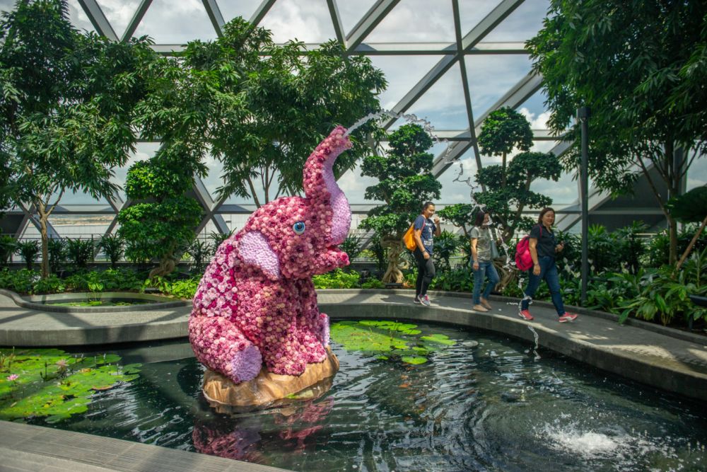 Jewel Changi Airport Attractions - Image 8 of 9