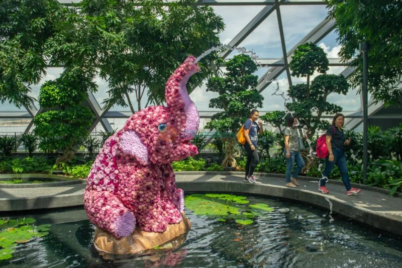 Jewel Changi Airport Attractions - Image 8 of 9