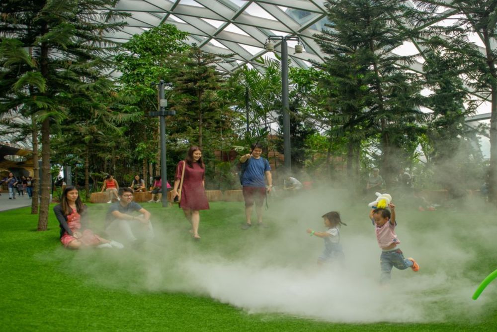 Jewel Changi Airport Attractions - Image 9 of 9