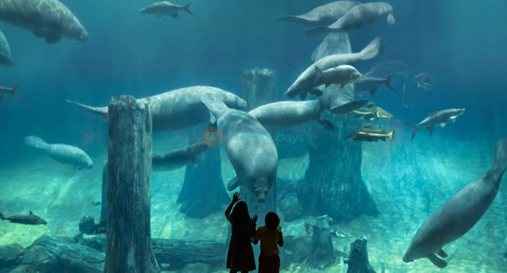 Les Merveilles des Rivières de Singapour - Image 1 of 11