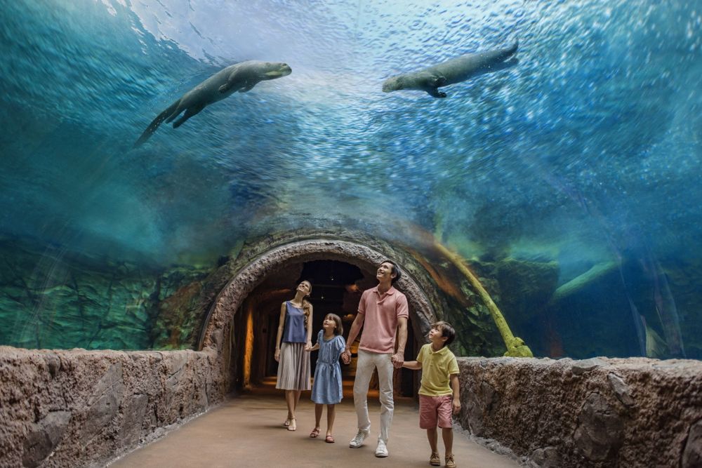 River Wonders Singapore - Discover River Wonders Singapore, a unique river-themed wildlife park featuring animals from the world's iconic rivers. Explore exhibits, meet giant pandas, and enjoy an unforgettable safari experience. Book your tickets today for a fun and educational adventure! River Wonders Singapore - Image 2 of 5