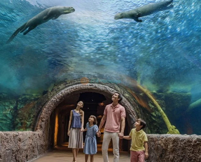 Les Merveilles des Rivières de Singapour - Image 2 sur 5