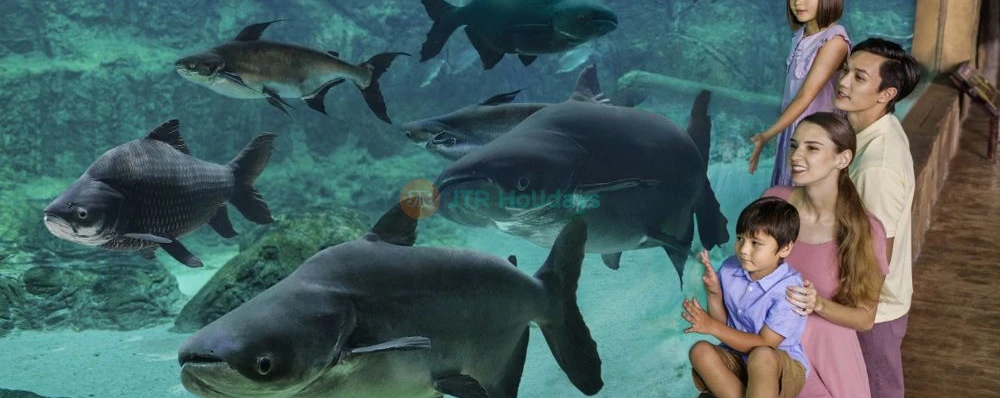 Les Merveilles des Rivières de Singapour - Image 3 sur 5