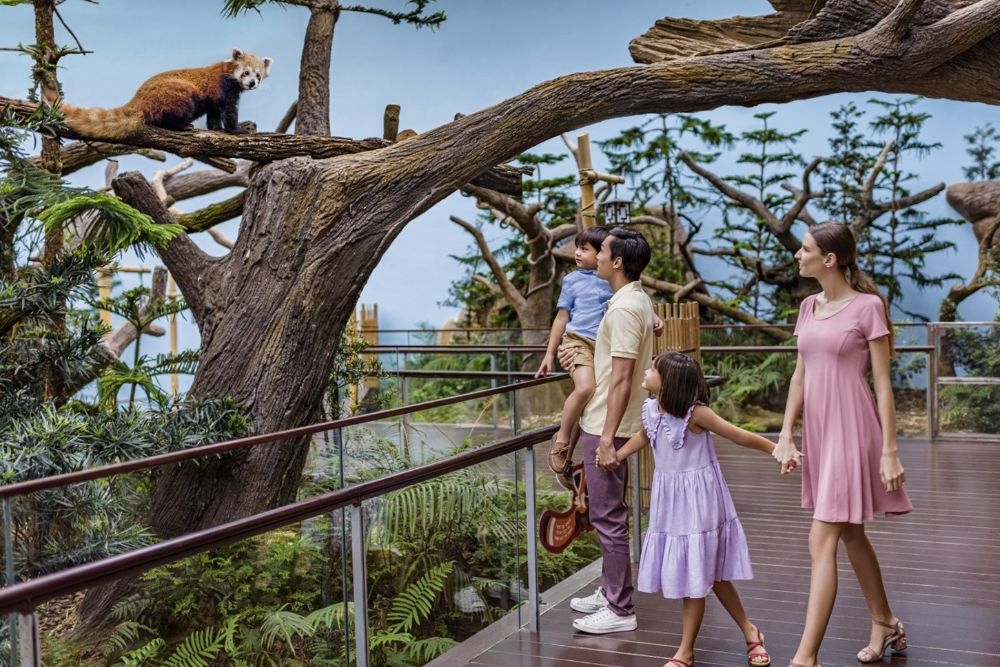 River Wonders Singapore - Image 4 of 11