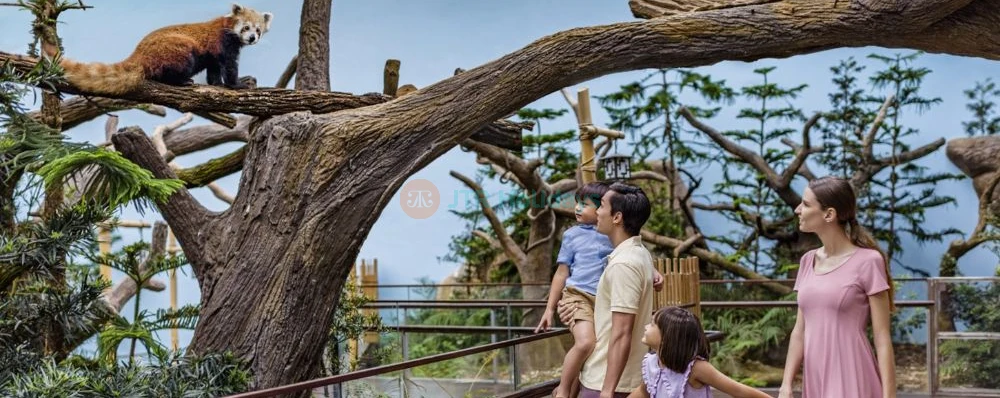 Les Merveilles des Rivières de Singapour - Image 4 of 11