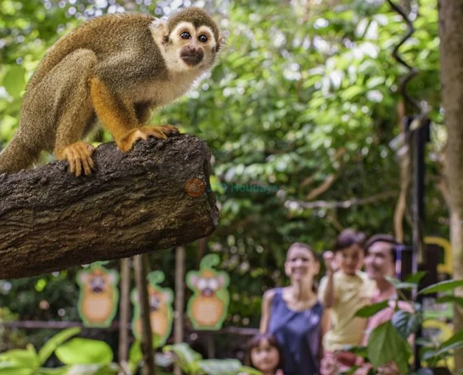 Les Merveilles des Rivières de Singapour - Image 5 sur 5