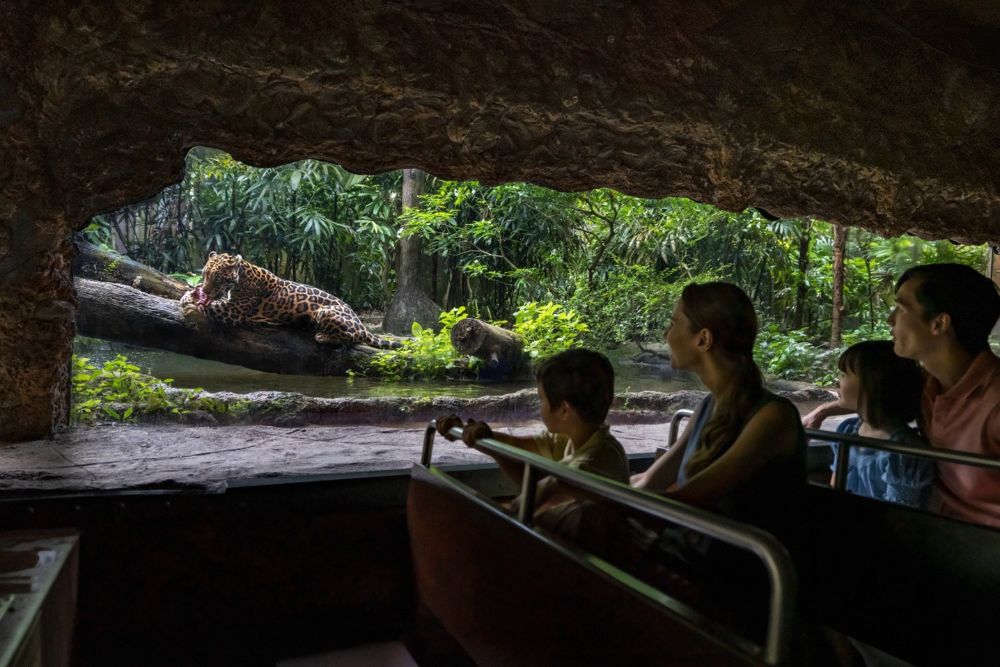 River Wonders Singapore - Image 6 of 11