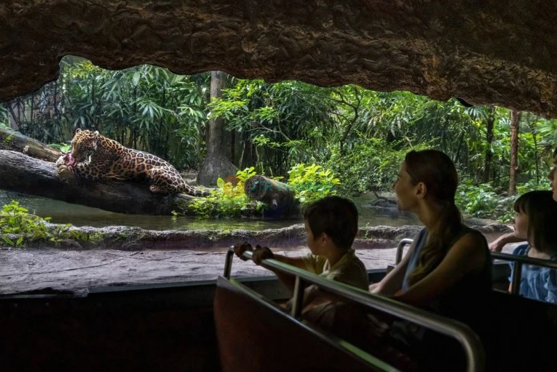 River Wonders Singapore - Image 6 of 11